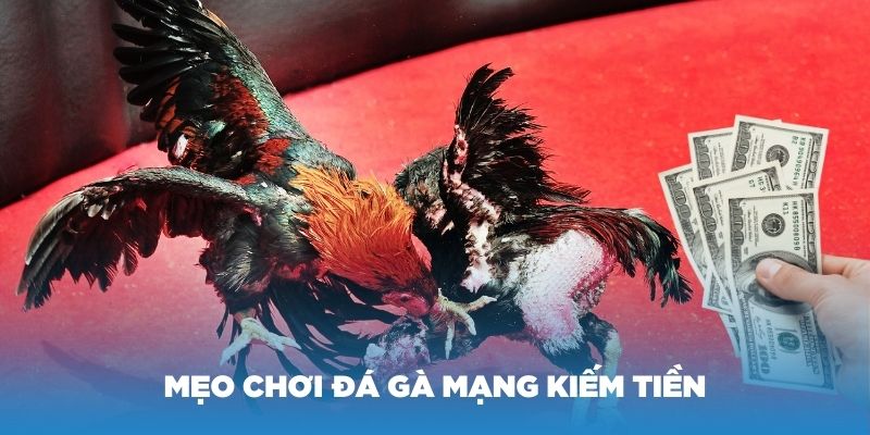 Một số mẹo chơi đá gà mạng dễ dàng kiếm tiền