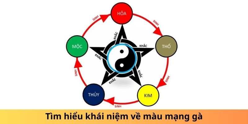 Mách bạn cách chọn lựa màu mạng gà phù hợp